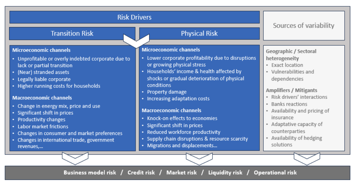 Chart showing ESG risk reflection in capital requirements and internal capital buffers